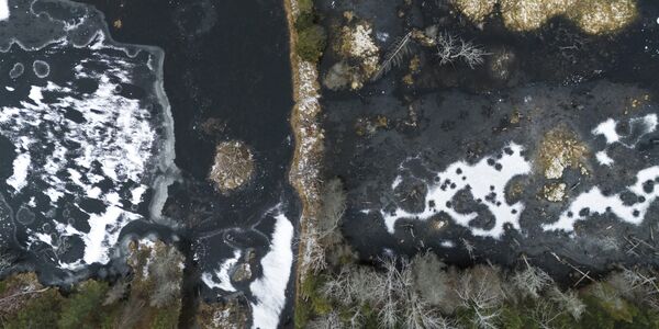 An aerial view of a beaver pond.